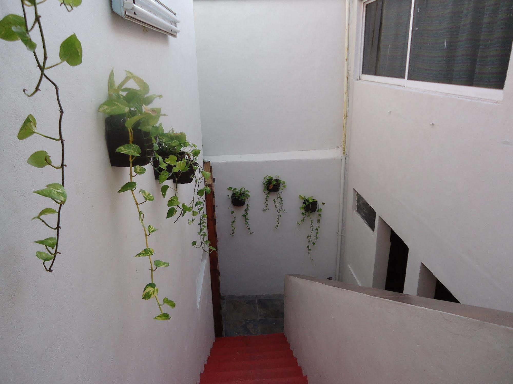 Humble Bumble Hostal Playa del Carmen